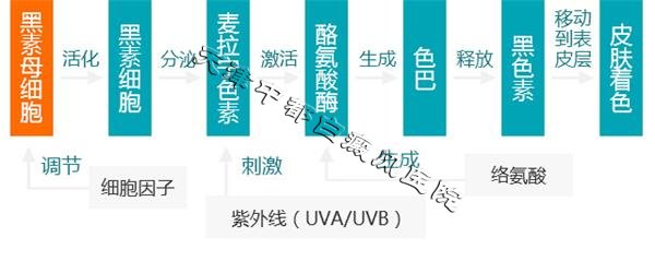假期快過完了，您的白斑檢查了嗎