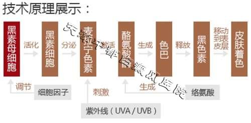 直降500元，白癜風(fēng)優(yōu)惠大檢查