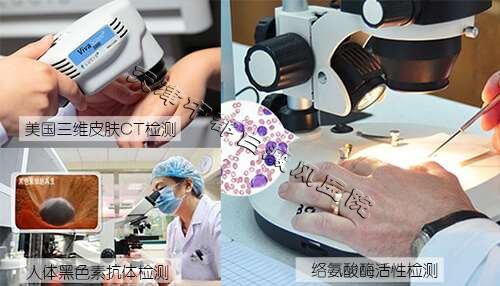 暖冬好禮，天津中都陪您提前過雙12